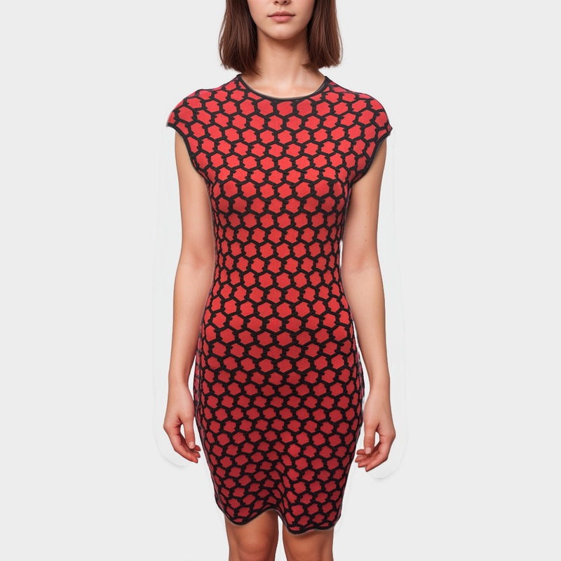 Alexander McQueen Red and Black geometric pattern viscose Dress