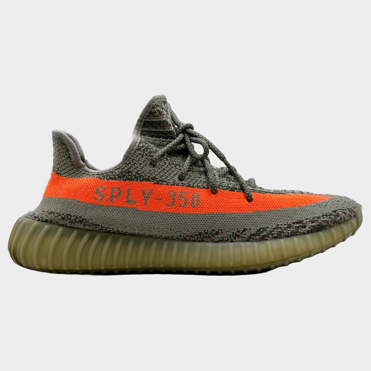 sply 350 neon
