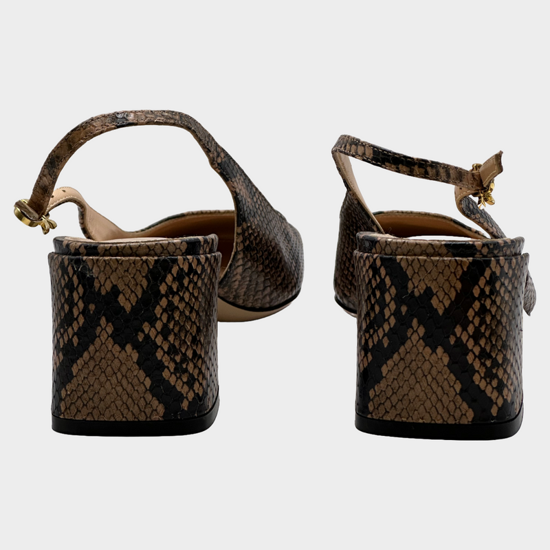 Gianvitto Rossi women's brown python skin block heel pumps