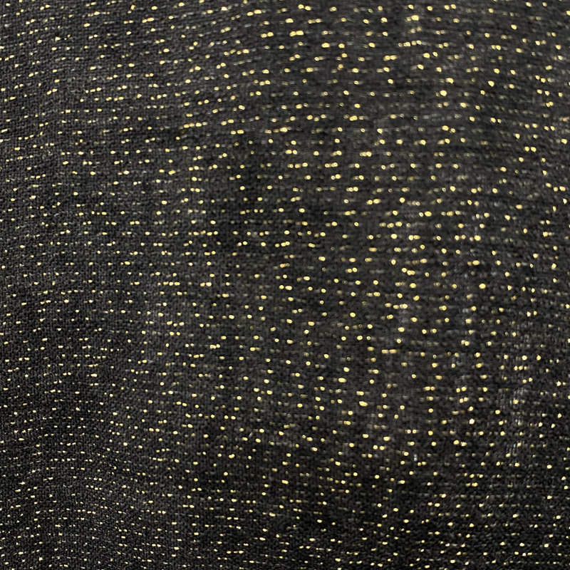 Lisa Marie Fernandez black and gold metallic maxi skirt