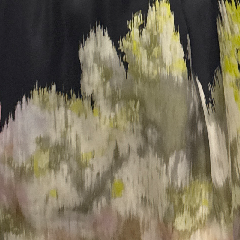 Giambattista Valli Black with Multicolour watercolour floral pattern silk Dress