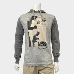 Dolce&Gabbana men's grey cotton graphic print hoodie