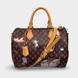 Louis Vuitton x Grace Coddington Limited Edition Women's Multicolored Catogram Canvas Speedy Bandouliere Handbag