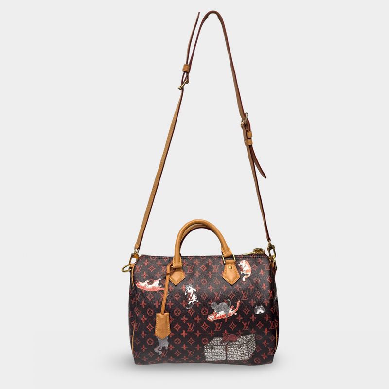 Louis Vuitton x Grace Coddington Limited Edition Women's Multicolored Catogram Canvas Speedy Bandouliere Handbag