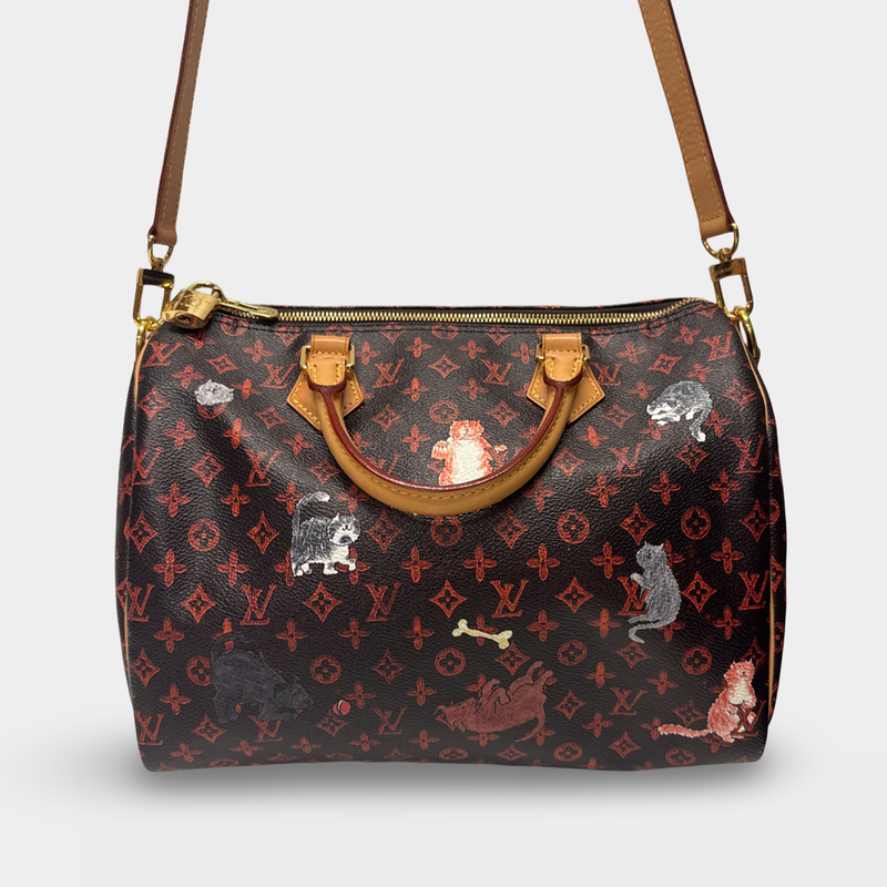 Louis Vuitton x Grace Coddington Limited Edition Women's Multicolored Catogram Canvas Speedy Bandouliere Handbag