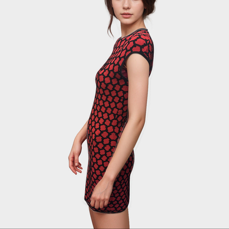 Alexander McQueen Red and Black geometric pattern viscose Dress