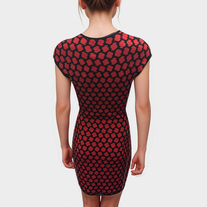 Alexander McQueen Red and Black geometric pattern viscose Dress