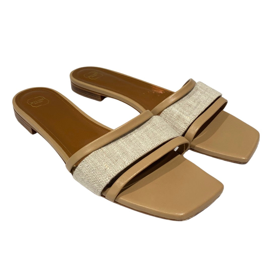 IMG_8053_1300x.jpg?v=1647960372 IMG_8053_1300x.jpg?v=1647960372