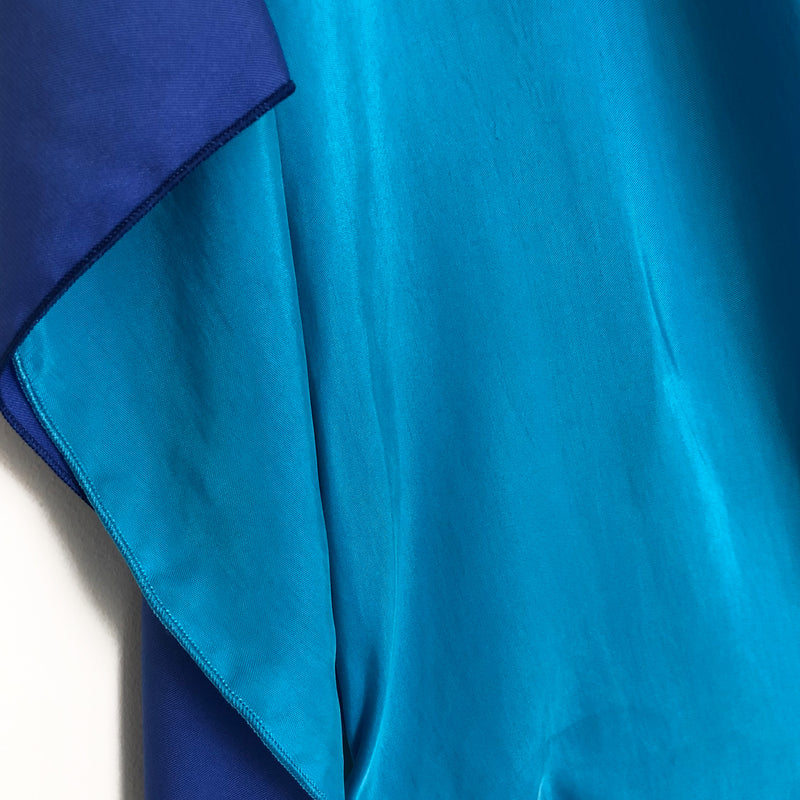 ROKSANDA blue maxi dress