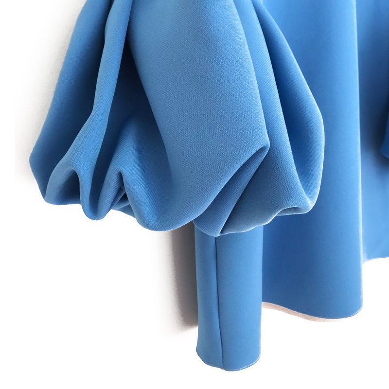 ROKSANDA blue dress with ruffled sleeves
